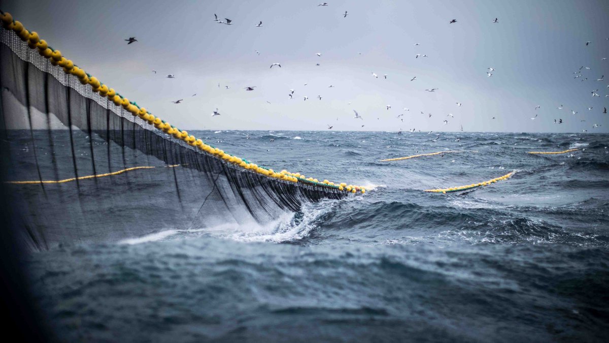 Lyell Centre (@lyellcentre) on Twitter photo The #LyellCentre is leading a UK-wide survey of fishermen on behalf of <a href="/ScotGovMarine/">Scot Gov Marine</a> 🎣
🪝The Fishing Lives Survey will explore the challenges currently facing fishers & how policies and other measures can be tailored to support.
🔗app.onlinesurveys.jisc.ac.uk/s/edinburgh/fi…
‼️ Closes 20 Oct ‼️ The #LyellCentre is leading a UK-wide survey of fishermen on behalf of <a href="/ScotGovMarine/">Scot Gov Marine</a> 🎣
🪝The Fishing Lives Survey will explore the challenges currently facing fishers & how policies and other measures can be tailored to support.
🔗app.onlinesurveys.jisc.ac.uk/s/edinburgh/fi…
‼️ Closes 20 Oct ‼️