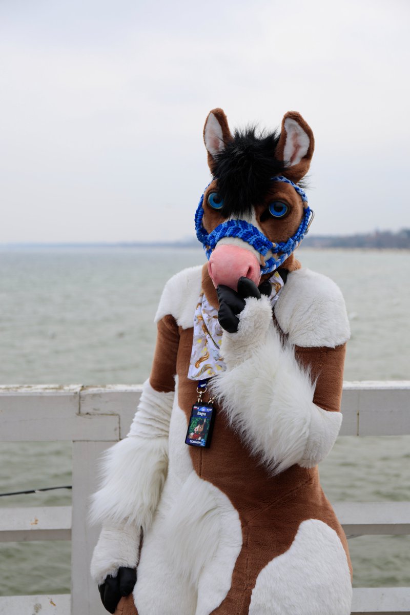 Hello :3 Another horse photo for you all :3 
photo - <a href="/DerooShep/">Deroo</a>