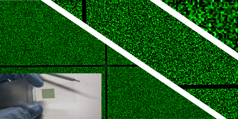 Une nouvelle génération de puces à ARN

inc.cnrs.fr/fr/cnrsinfo/un…  Améliorer la qualité et accélérer la vitesse de synthèse de puces ARN à haute densité utilisées pour évaluer simultanément les propriétés physico-chimiques de dizaines de milliers de séquences

<a href="/CNRSchimie/">CNRS Chimie</a> <a href="/CNRS/">CNRS 🌍</a>