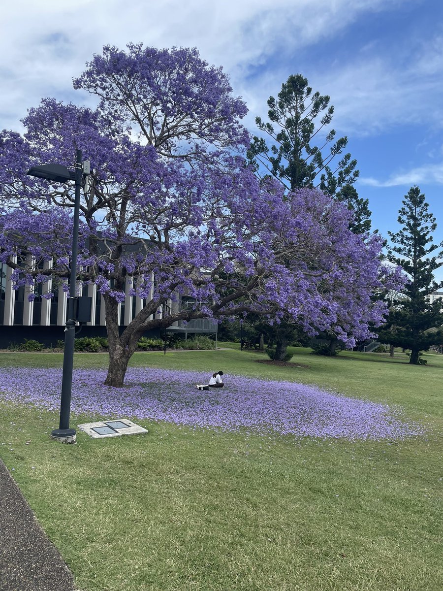 Studying for exams at UQ be like