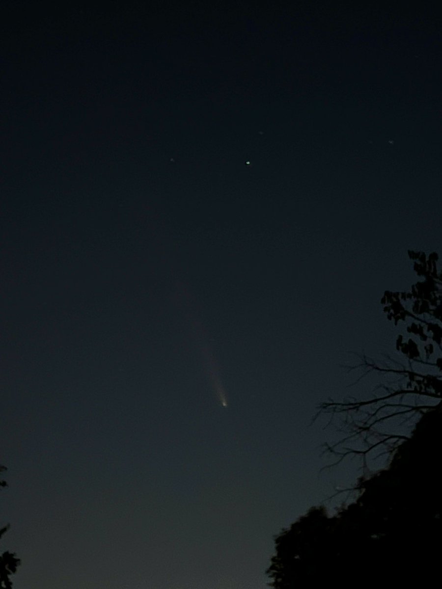 SacSpiritteam's tweet photo. Next few nights! Check out the comet! 💫☄️✨🌔 also the full moon is on the way too! 💛 https://t.co/didr8aLj1k