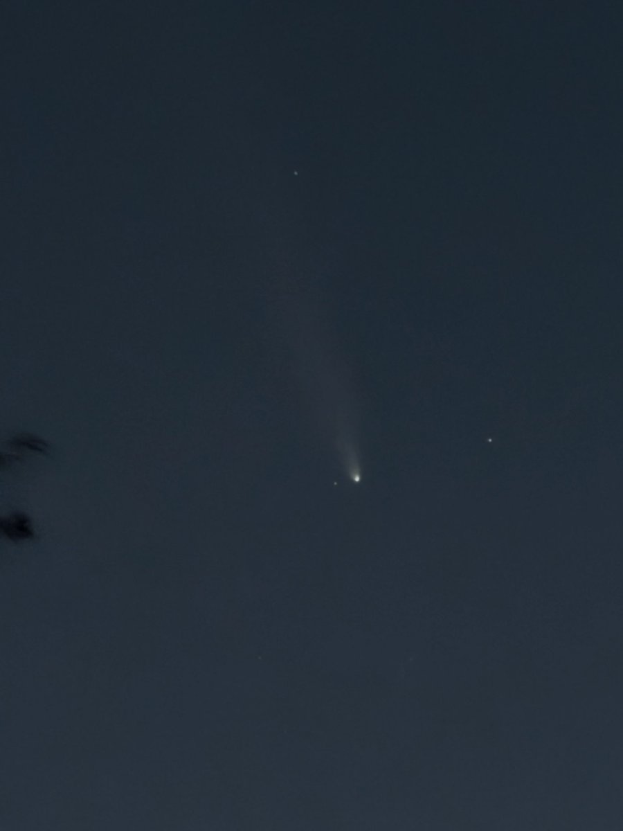 SacSpiritteam's tweet photo. Next few nights! Check out the comet! 💫☄️✨🌔 also the full moon is on the way too! 💛 https://t.co/didr8aLj1k