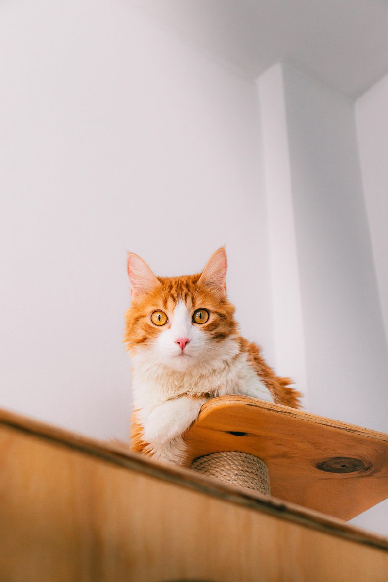 The use of benchmarking allows organizations to compare their QC practices with industry best practices.