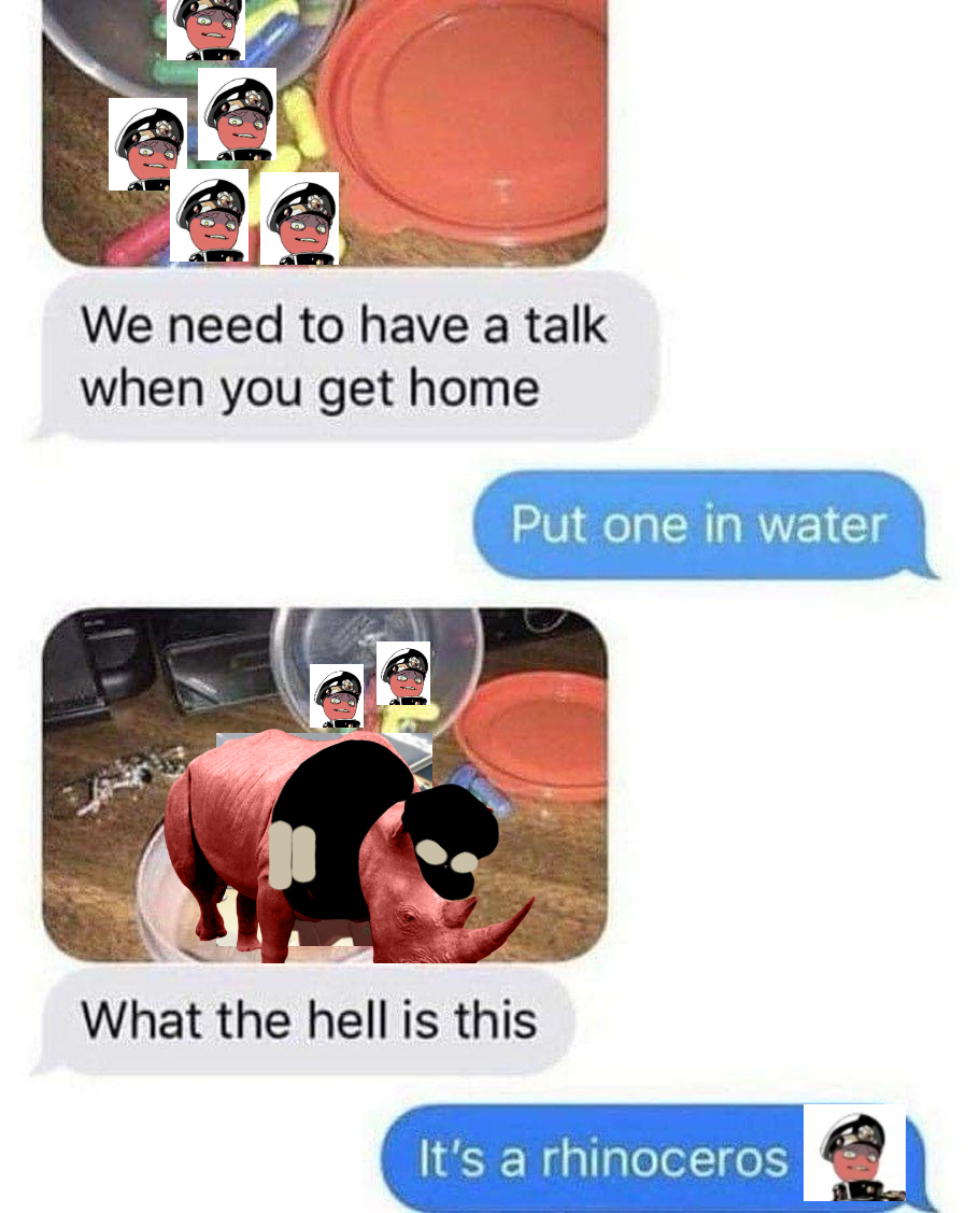 🦏