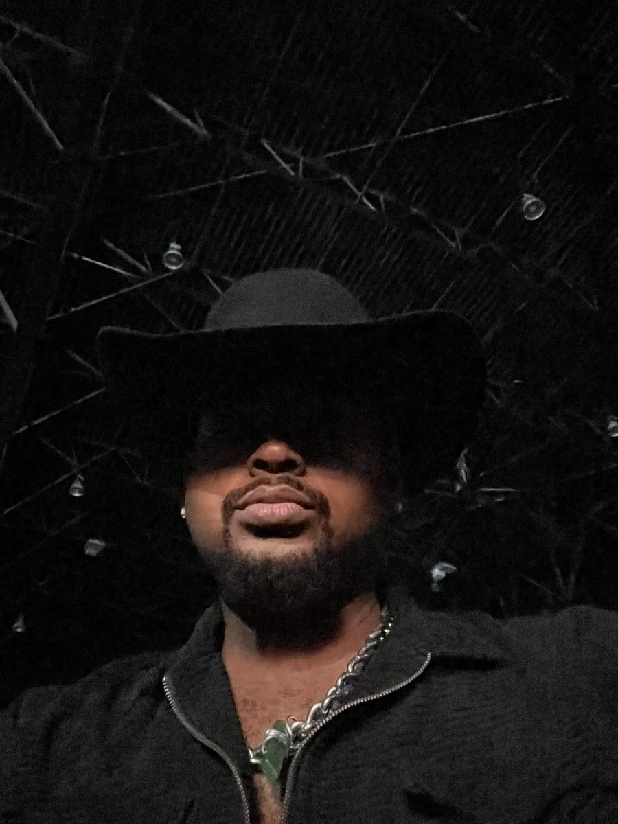 LackofNormalcy's tweet image. 