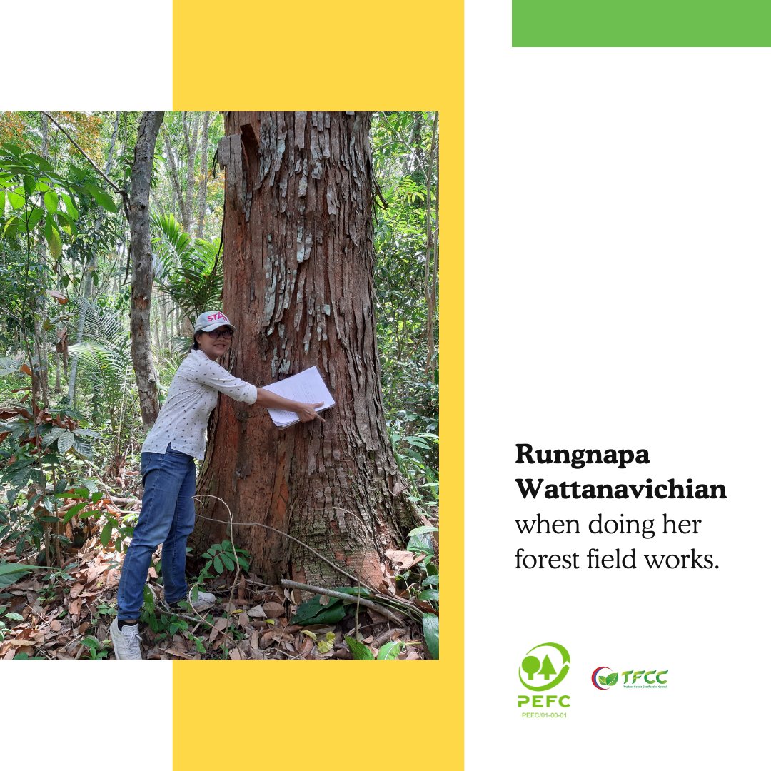 💚 PEFC APAC “Meet our amazing colleagues”​

This week, let's meet our incredible colleague Rungnapa Oppadee  - Rubber Coordinator, a dedicated forester based in Thailand! 
👉Read the full interview: linkedin.com/posts/pefcapac…

#PEFC #storytelling