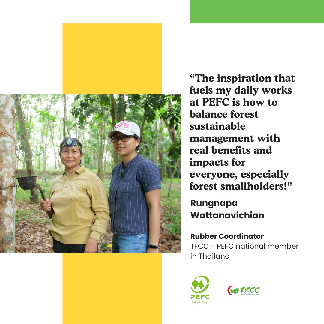PEFCapac's tweet photo. 💚 PEFC APAC “Meet our amazing colleagues”​

This week, let's meet our incredible colleague Rungnapa Oppadee  - Rubber Coordinator, a dedicated forester based in Thailand! 
👉Read the full interview: https://t.co/Xgogu2o31u

#PEFC #storytelling https://t.co/AhrgAZV0Lb