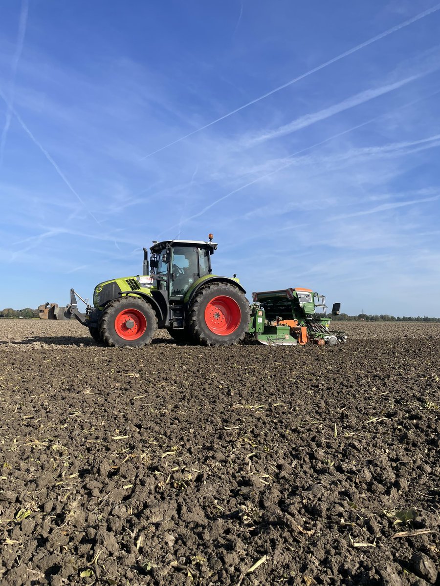 Mooie omstandigheden voor tarwe zaaien. #oogst2025