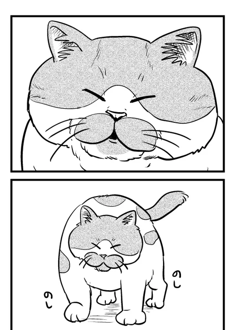 コミティアで販売予定の猫の歯肉炎闘病記です
(現在猫は元気ですので安心して読んでね) 
