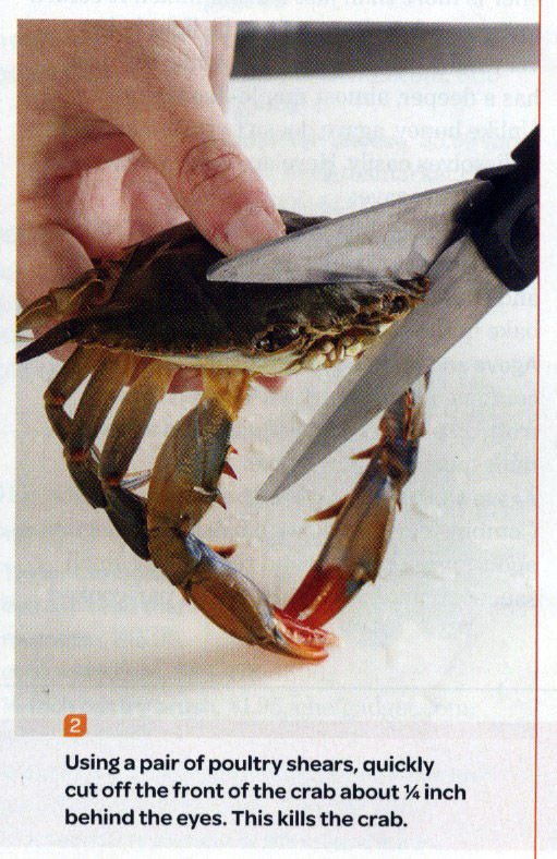 louchiappetta's tweet photo. Every time I see a tweet about them bugs https://t.co/4pZwEKIniU