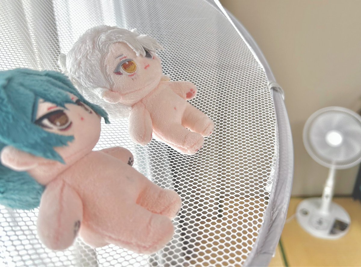 nomu_nui's tweet photo. いっぱい連れ回したのでお風呂🛁
モフリー使ってみたよ〜 https://t.co/Kf8xhMGLte