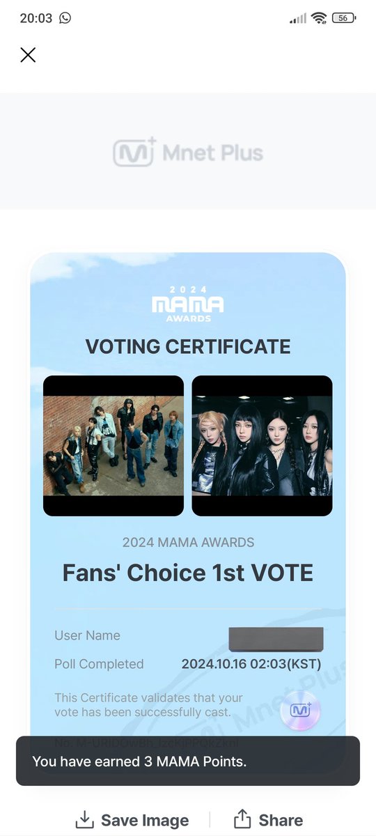 StayRinari's tweet photo. #2024MAMAVOTE #straykids https://t.co/j4VpHMTrLr