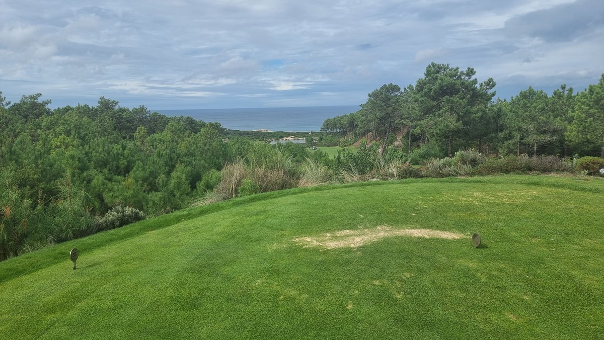 Belgian Golfer tweet media