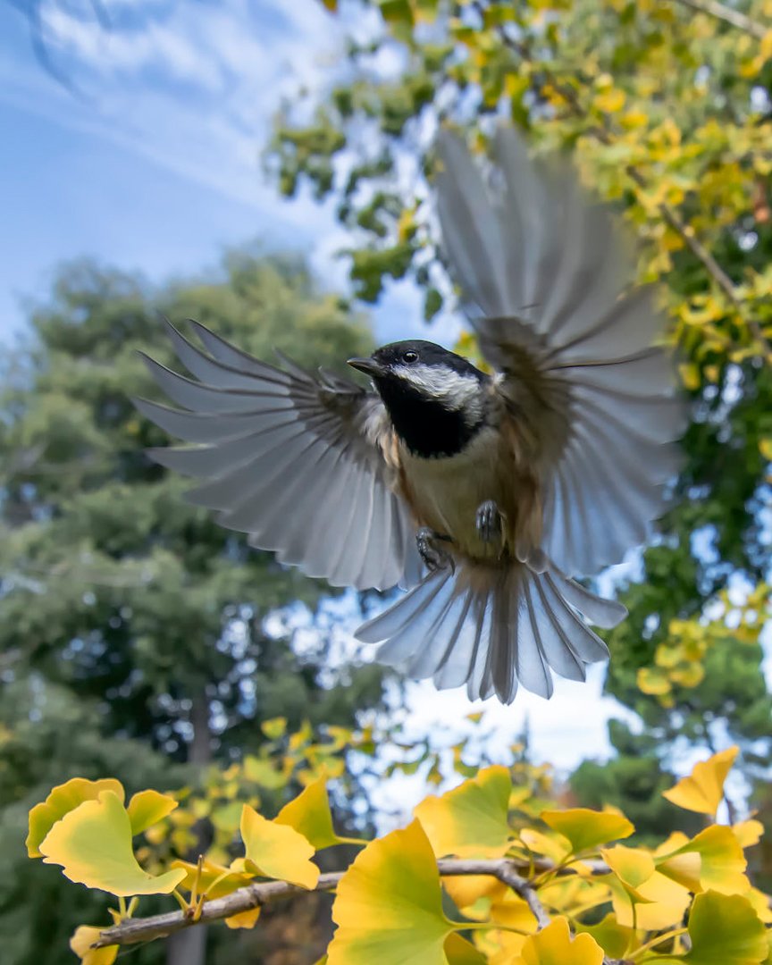 REAL JARDÍN BOTÁNICO (@rjbotanico) on Twitter photo 🐦⬛🌿Aves del <a href="/Paisajedela_Luz/">PaisajedelaLuzOficial</a>
Conferencia de @Niko_Lopez_BIO de <a href="/SEO_BirdLife/">SEO/BirdLife</a>
🗓️Jueves, 17 de octubre de 2024, a las 19:00
📍Salón de actos del <a href="/RJBOTANICO/">REAL JARDÍN BOTÁNICO</a> <a href="/CSIC/">CSIC</a>.
👉🏼 Acceso gratuito hasta completar aforo. Entrada por Claudio Moyano, 1
📷: <a href="/Adellanotte/">Antonello Dellanotte</a>
rjb.csic.es/las-aves-que-s… 🐦⬛🌿Aves del <a href="/Paisajedela_Luz/">PaisajedelaLuzOficial</a>
Conferencia de @Niko_Lopez_BIO de <a href="/SEO_BirdLife/">SEO/BirdLife</a>
🗓️Jueves, 17 de octubre de 2024, a las 19:00
📍Salón de actos del <a href="/RJBOTANICO/">REAL JARDÍN BOTÁNICO</a> <a href="/CSIC/">CSIC</a>.
👉🏼 Acceso gratuito hasta completar aforo. Entrada por Claudio Moyano, 1
📷: <a href="/Adellanotte/">Antonello Dellanotte</a>
rjb.csic.es/las-aves-que-s…