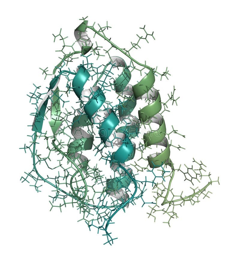 Nisha353234's tweet image. #GMCSF #Market is evolving rapidly! Our new report delves into the latest advancements and market trends for Granulocyte Macrophage Colony Stimulating Factor from 2024-2030. 

#Biotech #CancerTreatment #MarketTrends #HealthcareInnovation #Immunotherapy