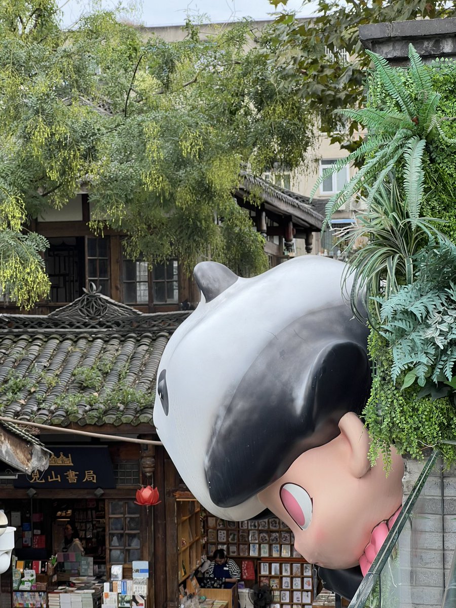 appiah's tweet image. 知竹常乐