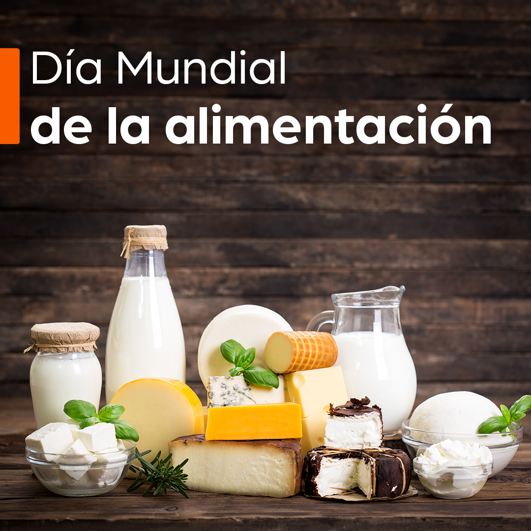 enNovillasEsp's tweet photo. 🌍🥛 En el #DíaMundialDeLaAlimentación destacamos la relevancia de los productos lácteos en nuestra dieta. La leche y sus derivados aportan calcio, proteínas de alta calidad y vitaminas como la D, fundamentales para el crecimiento y el mantenimiento de huesos fuertes. Promover una #ProducciónLáctea eficiente y sostenible es clave para garantizar que estos nutrientes sigan formando parte de una dieta balanceada.