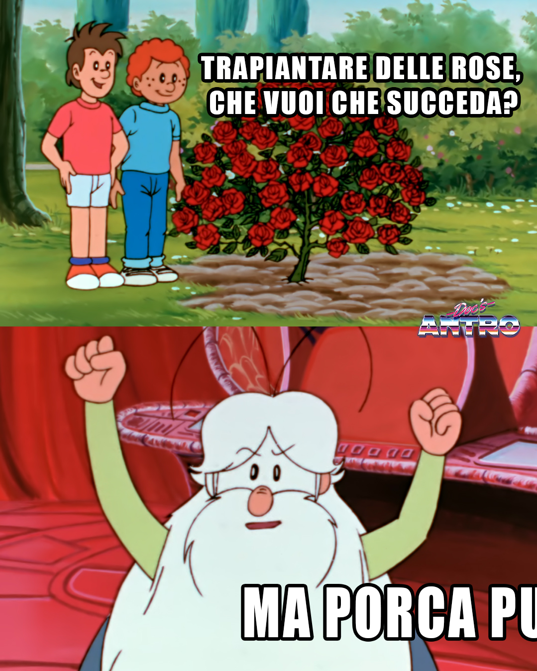 Immagine