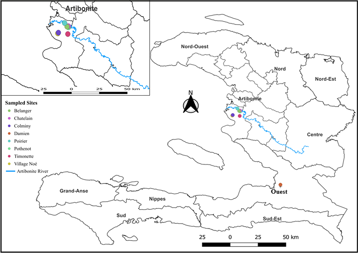 ParasiteJournal's tweet image. Molecular study of the status of Angiostrongylus cantonensis in rats in Haiti doi.org/10.1051/parasi…