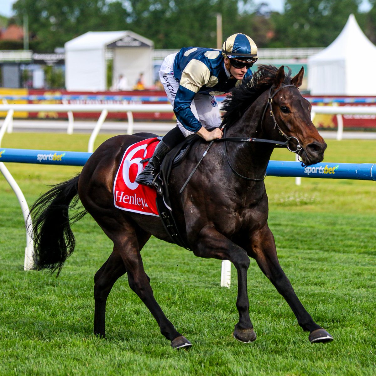 Melbourne Racing Club (@melbracingclub) on Twitter photo A double-bagel type performance from the Xtravagant 4YO.
<a href="/Brown_ethan8/">Ethan Brown</a> expected to win coming to Caulfield today but believes Nadal "showed his true colours" in the Henley Homes Handicap.
One to watch for, guess who, <a href="/cmaherracing/">Ciaron Maher Racing</a>. A double-bagel type performance from the Xtravagant 4YO.
<a href="/Brown_ethan8/">Ethan Brown</a> expected to win coming to Caulfield today but believes Nadal "showed his true colours" in the Henley Homes Handicap.
One to watch for, guess who, <a href="/cmaherracing/">Ciaron Maher Racing</a>.