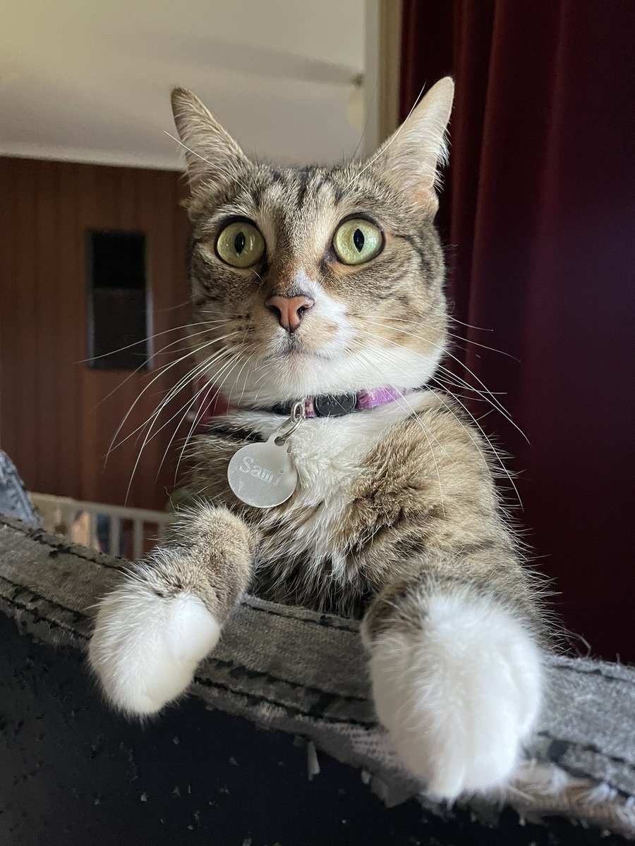 Tony Cocking tweet media