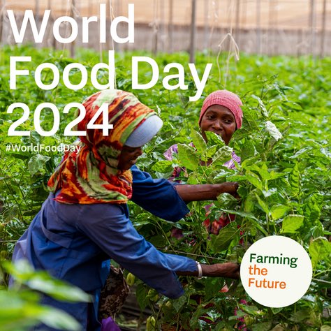 World Food Day…Safe food is a human right. We work with our partners to ensure that everyone has access to safe food. We are collaborating to enhance food safety protocols in agriculture. Let’s protect lives by making food safety a global priority. #WorldFoodDay2024 #LVVN