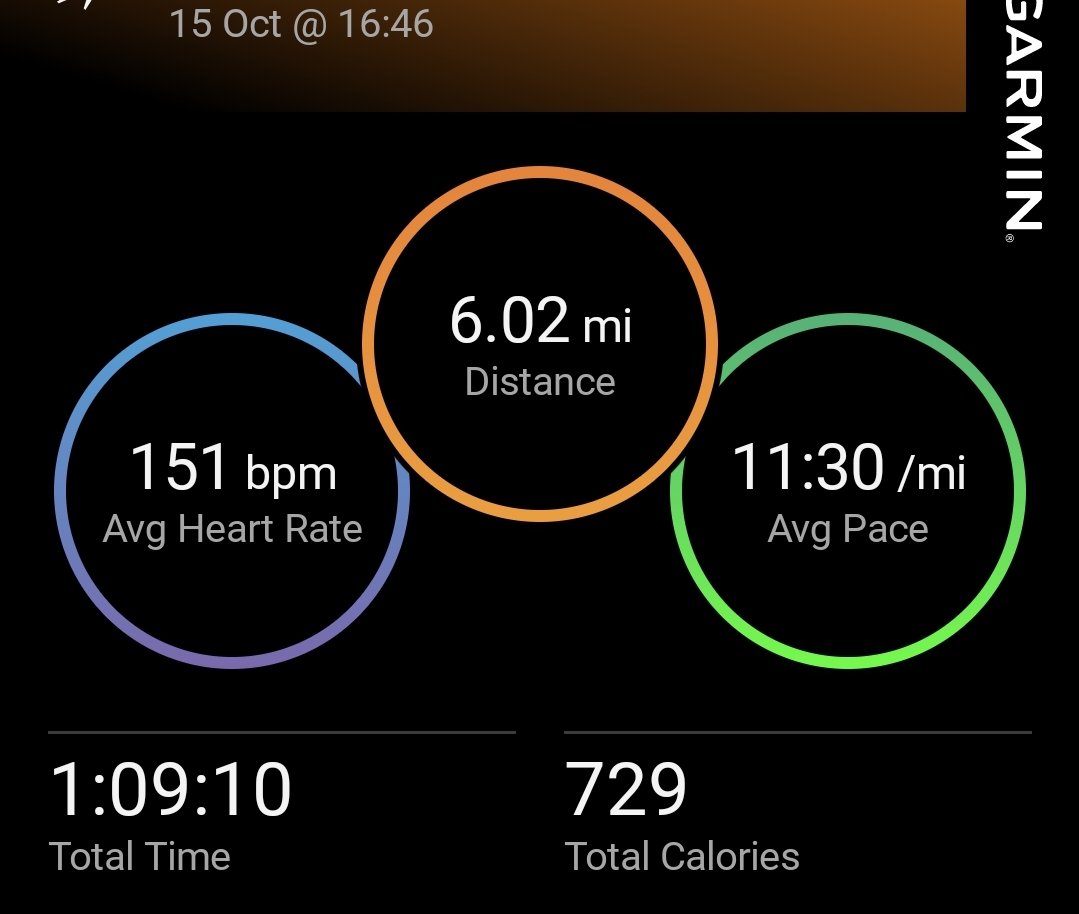 Alifitness91's tweet photo. Interval session yesterday evening before a meeting. Found it really tough going #interval #speedsession #running #loverunning https://t.co/Mw652u1Dxf