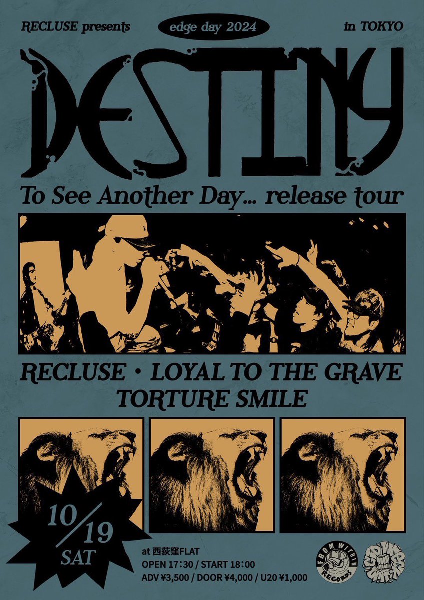 mayumi saw oasis melb🇦🇺 tweet media