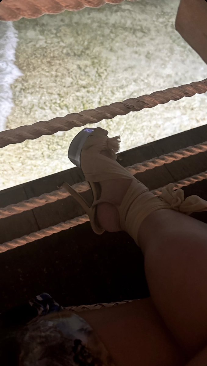 CacciolfiKim's tweet image. Purr 😻