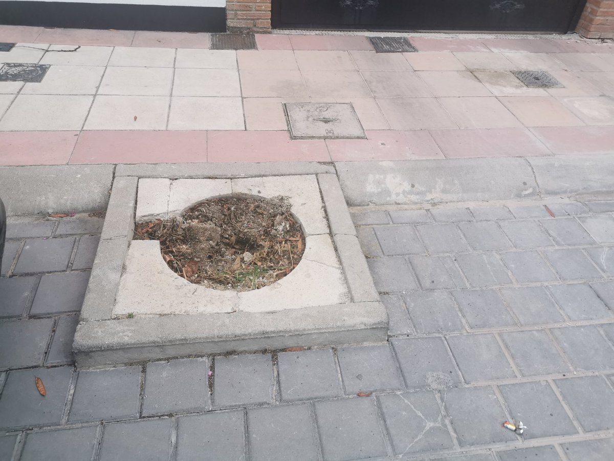 rafistalkis's tweet photo. Hola @LosaValdivielso! El viento ha arrancado un árbol que se plantó hace un año en la calle doctor José Montilla Bono, 31. Preguntaba si se puede plantar de nuevo porque no se ha partido, se ha arrancado de cuajo https://t.co/CgmGT5sh4N