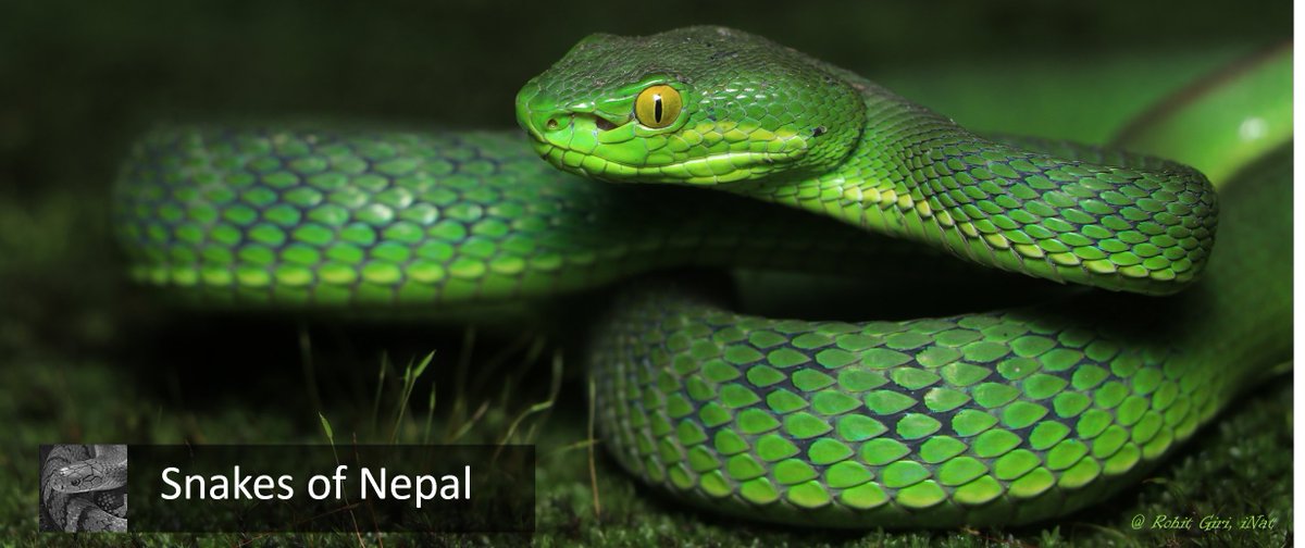 Isabelle BOLON tweet media