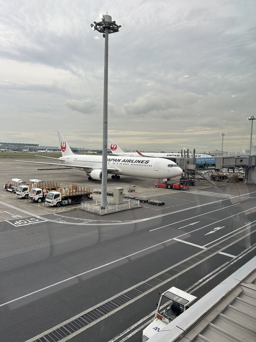 wakamiyaryu's tweet photo. 羽田空港。これから福岡です。久��ぶりに空弁買いました。空港は美しいですね。
行ってきます。
#若宮かしょう　#空弁　#歌舞伎座くまどり弁当　#まい泉ポケットサンドのヒレカツたまご https://t.co/18LYgtw568