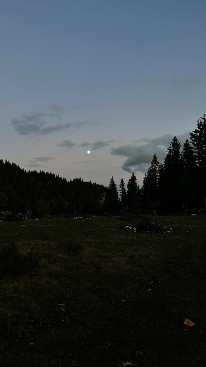 TomorDreshaj's tweet photo. 🏔️🌌🪵 https://t.co/3o21c4UpHU