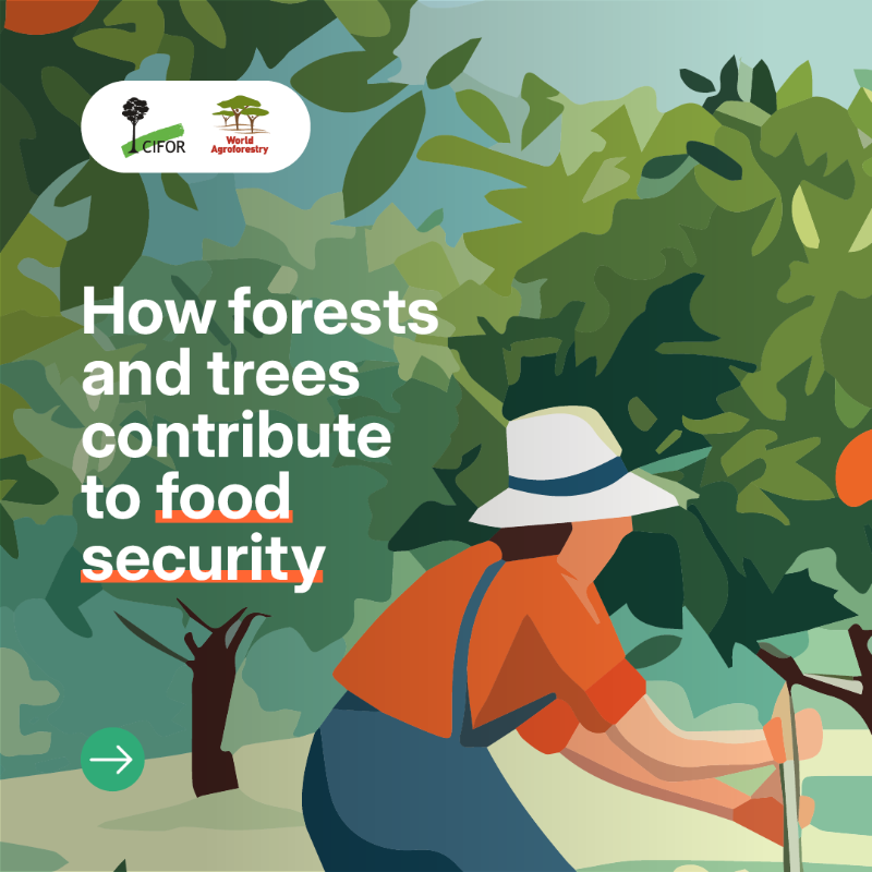 TheLandAlliance's tweet photo. This #WorldFoodDay, we celebrate the vital role forests and trees play in food security.

Trees provide nutritious food, support rural incomes, protect water sources, enrich #soils, sustain #biodiversity, and help build climate-resilient food systems.

#Trees4Resilience