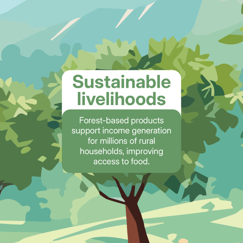 TheLandAlliance's tweet photo. This #WorldFoodDay, we celebrate the vital role forests and trees play in food security.

Trees provide nutritious food, support rural incomes, protect water sources, enrich #soils, sustain #biodiversity, and help build climate-resilient food systems.

#Trees4Resilience