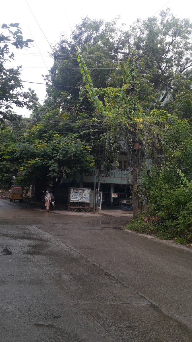 ForumPubWerw's tweet image. @musharraf_ias @tgspdcl 

Sir,

11KV line are not properly maintained in Ayodhyanagar,  Mehdipatnam because of which there are power issues in colonies.
 1. Near SBI Colony Bamboo park,  opp Meeseva
2. Near Sree Apartments 
3. Near GHMC Park 

Please look into this issue.