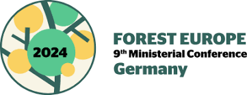 Basoa_F's tweet photo. #Europako #basoak babesteari buruzko Ministro Konferentzia: maila #politiko goreneko ekimena.
https://t.co/KhGtZFusat…
La Conferencia Ministerial sobre protección de los #bosques en #Europa: una iniciativa de máximo nivel #político.
https://t.co/lmA7IuepKG https://t.co/mzBO8TXQqQ