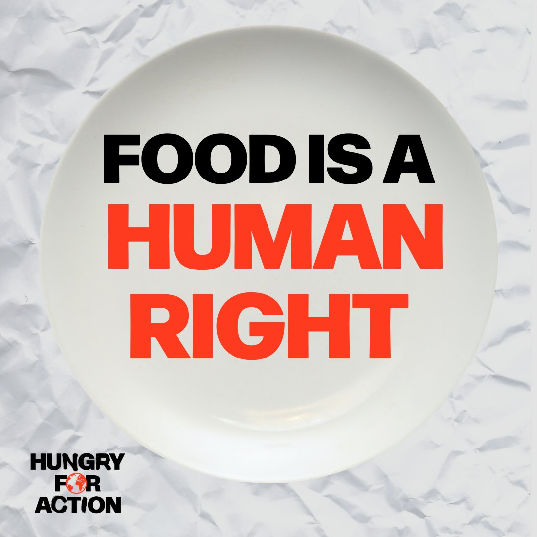 🚨Did you know? 🌍The #globalfoodcrisis has driven a quarter of a billion people into acute food insecurity. Food is a human right, this #WorldFoodDay, we call for financing for food security and nutrition to save lives, build resilience, and secure the future. #HungryforAction