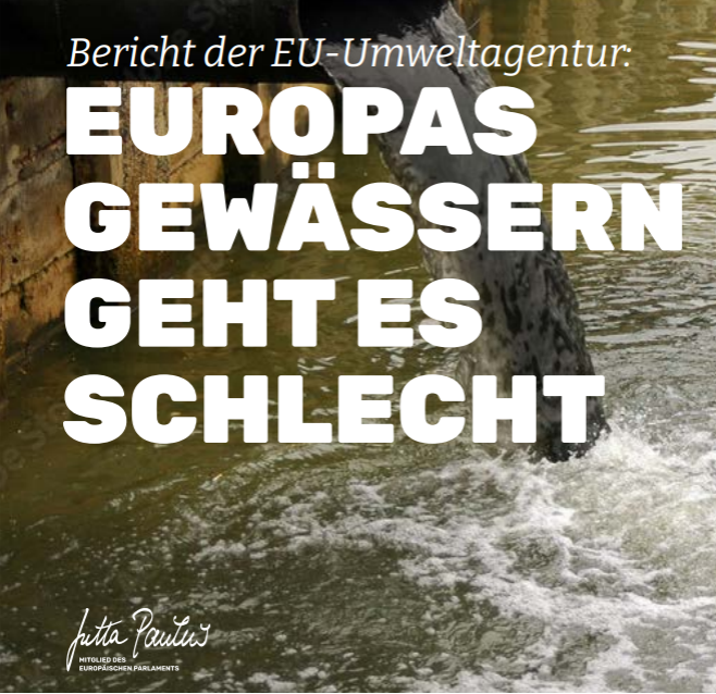 Jutta Paulus tweet media