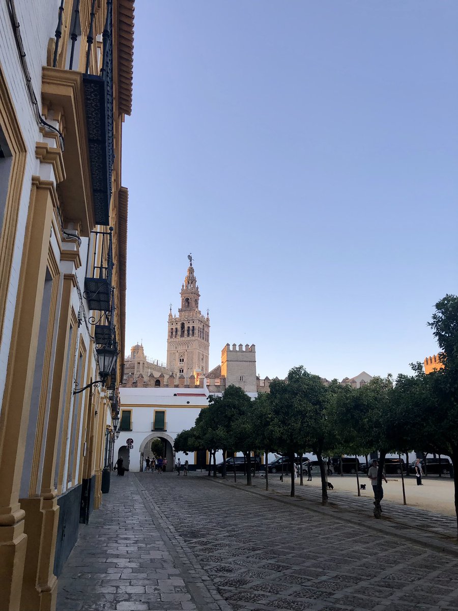 DigitalesSev's tweet image. Buenos días #Sevilla! 

Previo paso por el @ateneodesevilla nos hemos venido al @SevillaAlcazar para… nada, preparar unas cosillas…

#Escritores #Bloggeros #Influencers #Tuiteros #Fotoperiodista #CreadoresdeContenido… hoy es vuestro día! 

#PremiosDigitalesSevilla2024 #Seda24