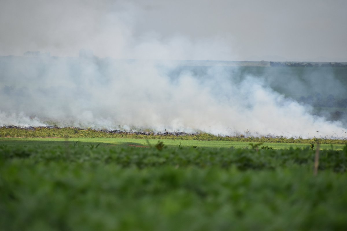ℙ𝕖𝕖𝕣 ℂ𝕪𝕣𝕚𝕒𝕔𝕜𝕤 (@pcyriacks) on Twitter photo 🚨Hands off the #EU deforestation regulation!
We <a href="/Umwelthilfe/">Deutsche Umwelthilfe</a> call on national EU governments and the <a href="/Europarl_EN/">European Parliament</a> to reject the <a href="/EU_Commission/">European Commission</a>'s proposal to delay the #EUDR. The world’s #forests urgently need the protection that the EUDR offers.
#Together4Forests 🚨Hands off the #EU deforestation regulation!
We <a href="/Umwelthilfe/">Deutsche Umwelthilfe</a> call on national EU governments and the <a href="/Europarl_EN/">European Parliament</a> to reject the <a href="/EU_Commission/">European Commission</a>'s proposal to delay the #EUDR. The world’s #forests urgently need the protection that the EUDR offers.
#Together4Forests