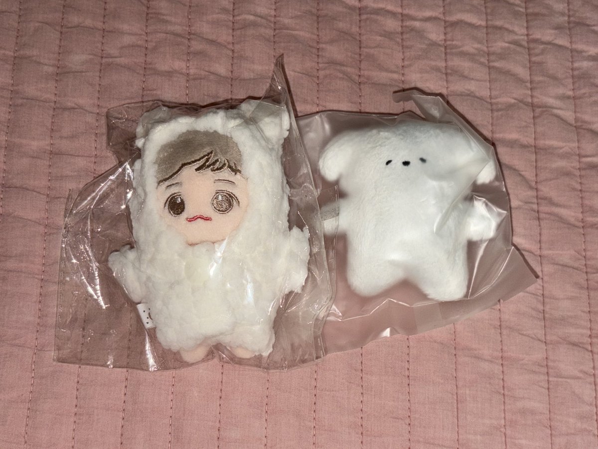 sagopalgo1126's tweet photo. 엑소 백현 인형 양도

둥이 님 멈머 1.0
뽀큐이 + 딜라잇 옷장 2.5

exo baekhyun goods doll pc album wts wtb sell https://t.co/WSYeR7mVE2