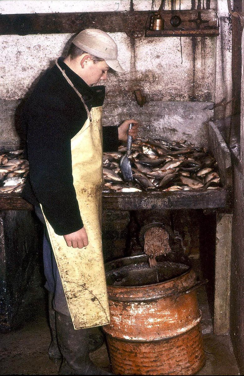 bedstemad's tweet image. Når man tænker det igennem, er der ikke meget i fortiden, der var bedre end nutiden. Fx var produktion af fiskefoder ikke rigtig fedt i "de gode gamle dage." Dejligt vi bliver klogere og dygtigere. verdensbedstefodevarer.dk/vores-blog/pol… #dkpol