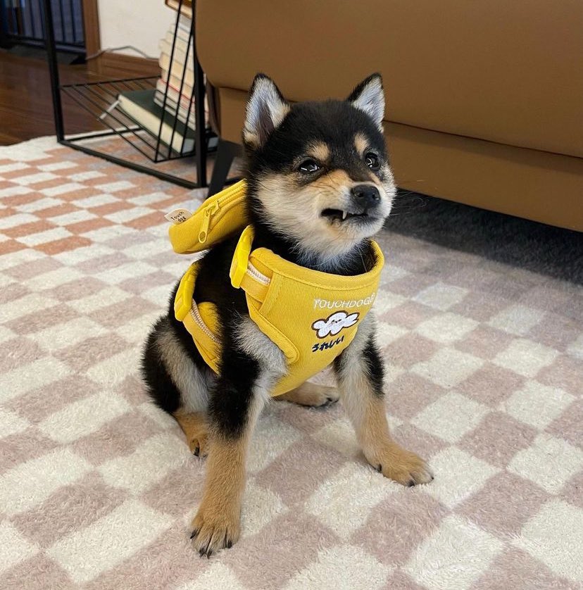 ctomanyu's tweet photo. GM,
We stay here strong. https://t.co/n3moUuSrrG