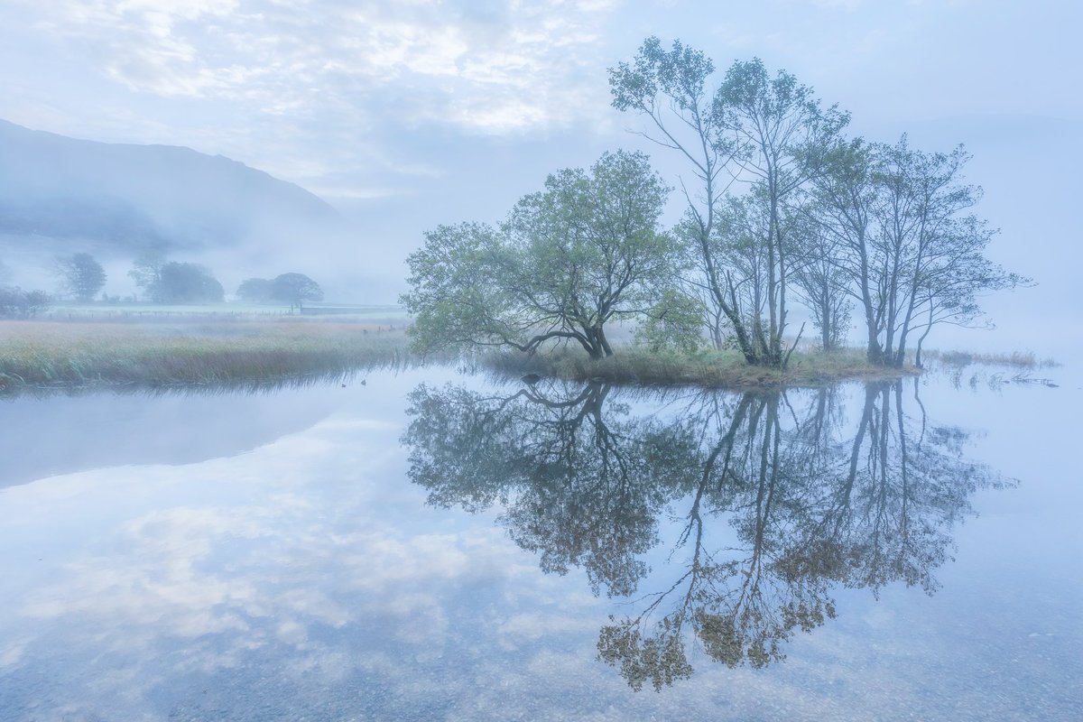 Day 9 of my futile one-woman crusade to keep real images popping up on your feed rather than AI.

Blue hour at Brothers Water. Sometimes the absence of light can be just as compelling. Mist swirling, separating trees from fell. A morning full of atmosphere in the Lake District 💙