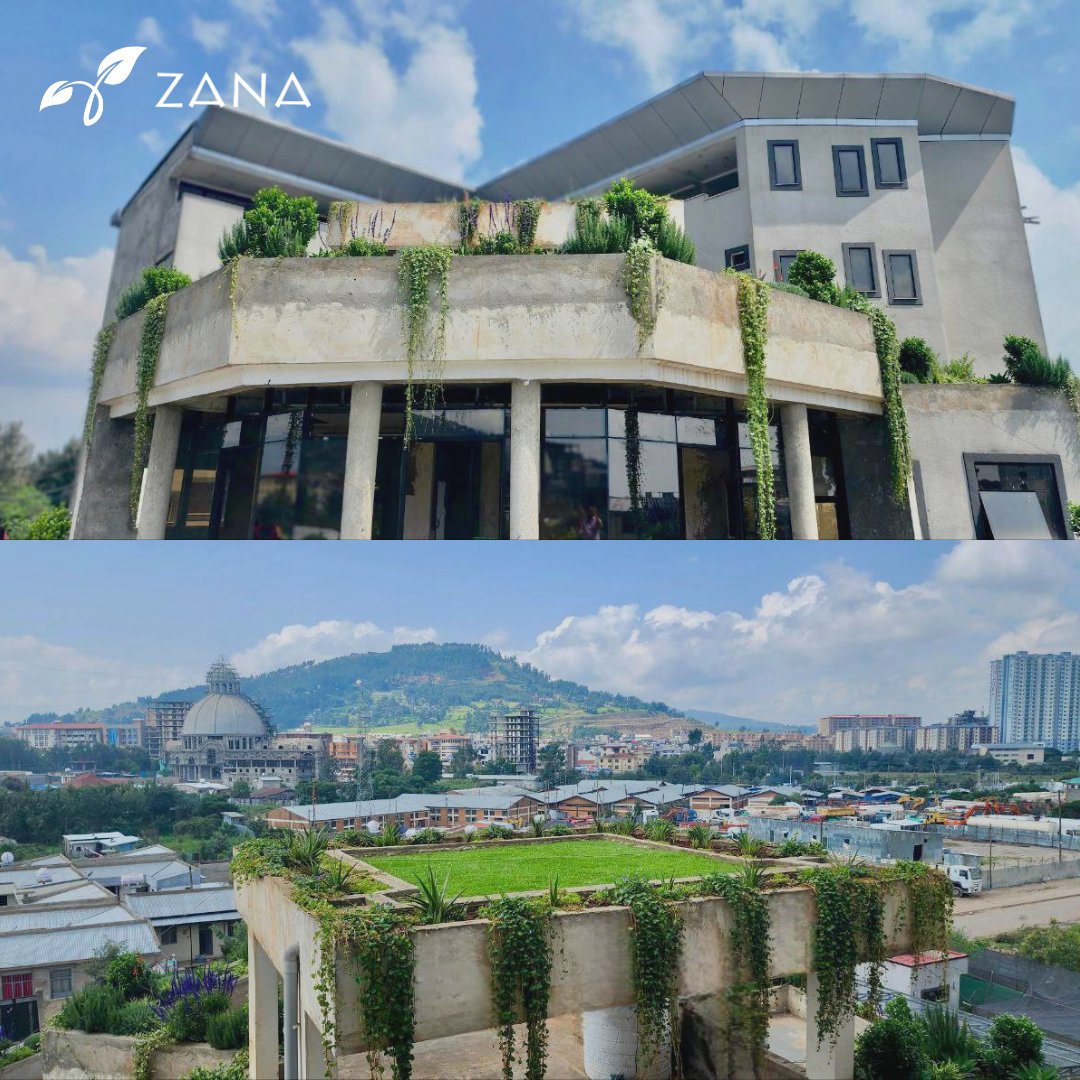 Final handover process of the Chiropractic Hospital by Spine Institute! Phase one of the landscape roof garden design and construction works is finished! #NatureHeals #LandscapeArchitecture #HospitalDesign #zanalandscape