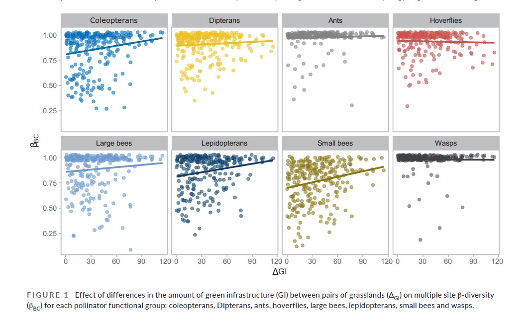 BiodiversosU's tweet photo. Enhorabuena al #biodiverso @carlos_lara0 colaborador en el artículo publicado en @JAppliedEcology "Effect of green infrastructure on restoration of pollination networks and plant performance in semi-natural dry grasslands across Europe" https://t.co/zppmMIRUoM https://t.co/4IeMd0Sw6Q