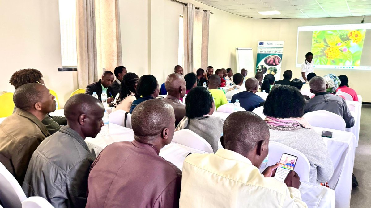 Over a period of three days, 30 cooperative representatives, 20 district and sector agriculture officers, and 16 sector cooperative officers underwent comprehensive training in regenerative agriculture practices and post-harvest management. 
fxbrwanda.org/Farmers-in-Gak…