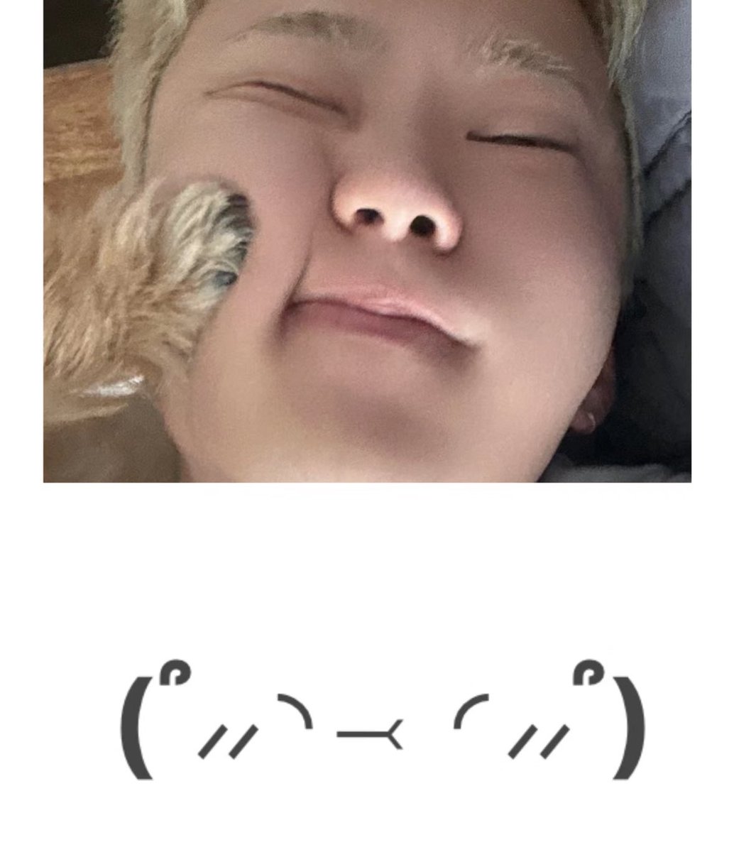 호시 ✭ (@ulthorangdan) on Twitter photo 
