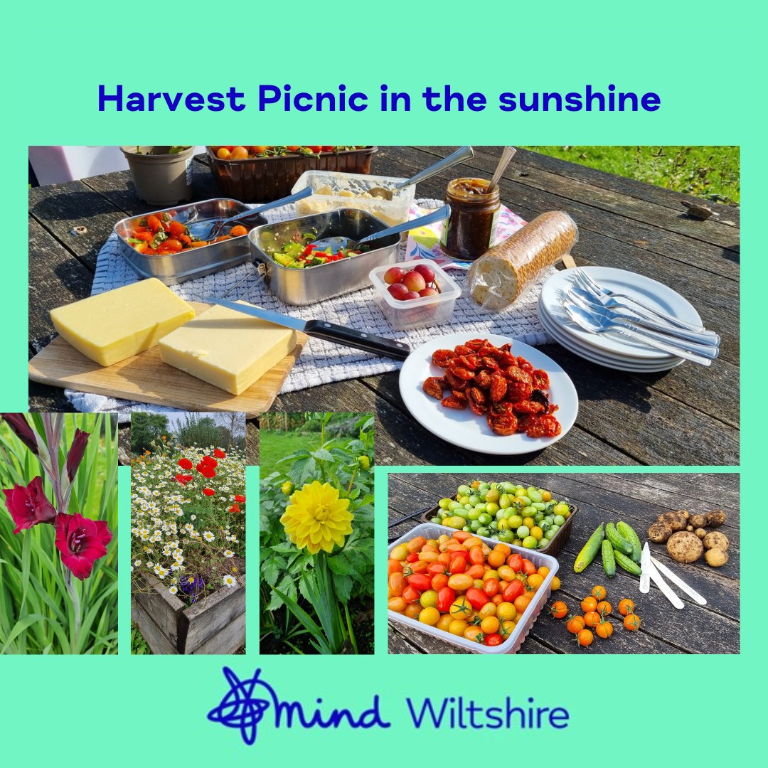 It is all about balance and our mental wellbeing at the gardening for wellbeing group.
Last week we celebrated our hard work with a little harvest picnic in the sunshine 🔆
Would you like to join our group? 
#mentalhealthsupport